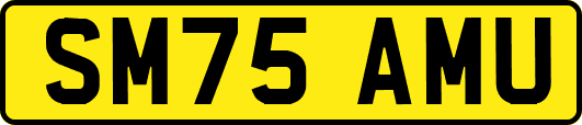 SM75AMU