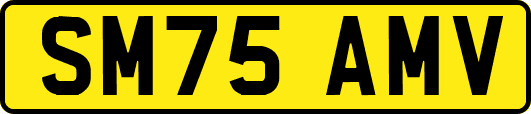 SM75AMV