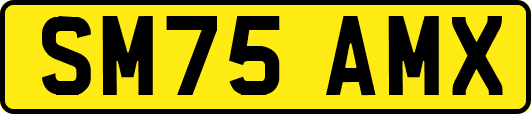 SM75AMX