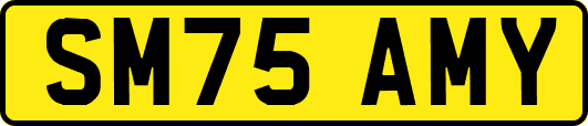 SM75AMY