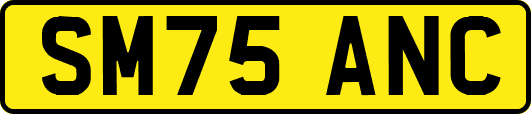 SM75ANC