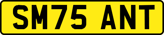 SM75ANT