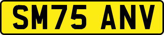 SM75ANV
