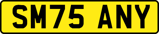 SM75ANY