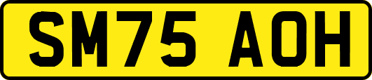 SM75AOH