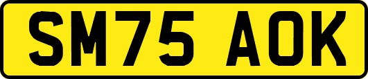 SM75AOK