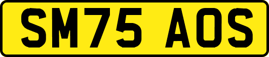 SM75AOS