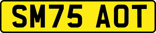 SM75AOT