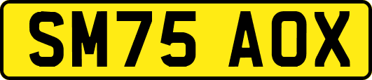 SM75AOX