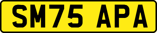 SM75APA