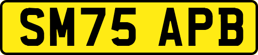 SM75APB