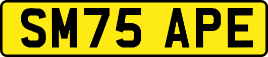 SM75APE