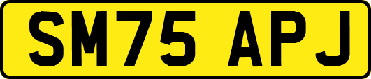 SM75APJ