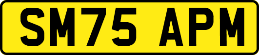 SM75APM