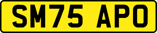 SM75APO