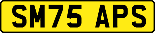 SM75APS