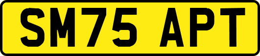 SM75APT