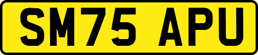 SM75APU