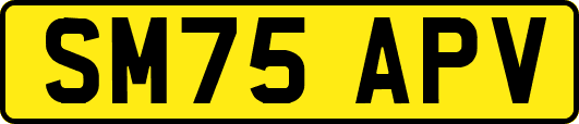 SM75APV