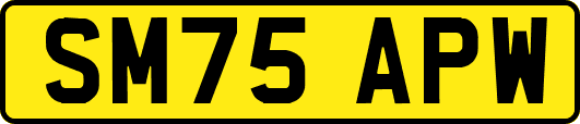 SM75APW