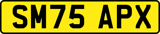 SM75APX