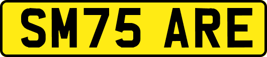 SM75ARE