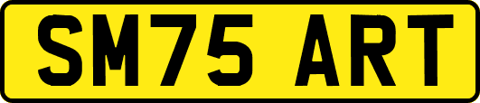 SM75ART
