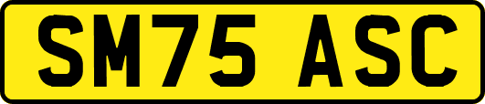 SM75ASC