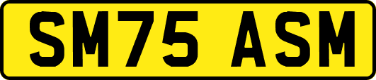 SM75ASM