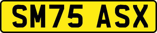 SM75ASX