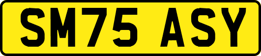 SM75ASY