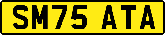 SM75ATA