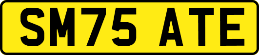 SM75ATE