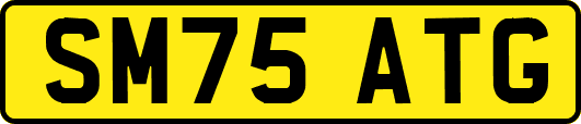SM75ATG