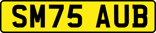 SM75AUB