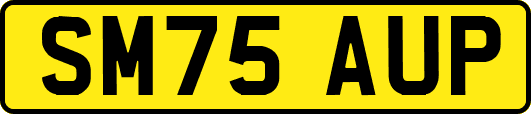 SM75AUP