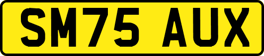 SM75AUX