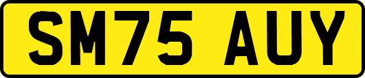 SM75AUY