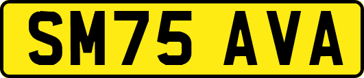 SM75AVA