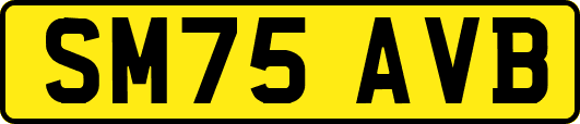 SM75AVB