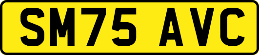 SM75AVC