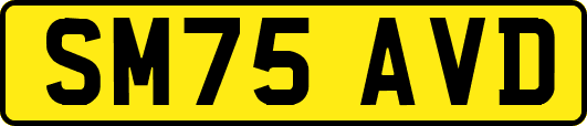 SM75AVD