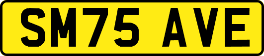 SM75AVE
