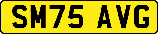SM75AVG