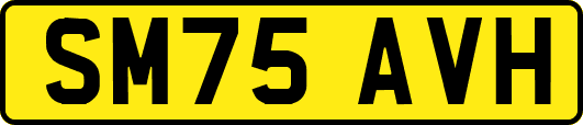 SM75AVH