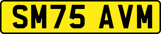 SM75AVM