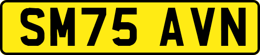 SM75AVN