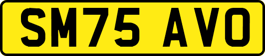 SM75AVO