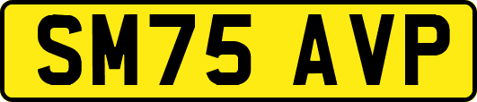 SM75AVP