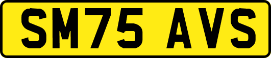 SM75AVS
